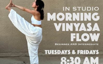 Vinyasa Flow Morning Yoga Class